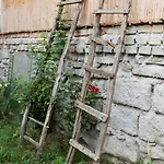 Apartman Nótás Tücsök *
