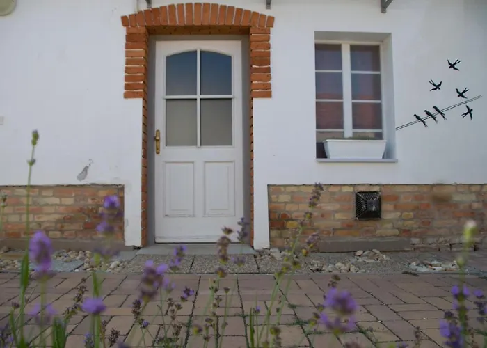 Apartment Notas Tuecsoek Vendeghaz Agyagosszergeny